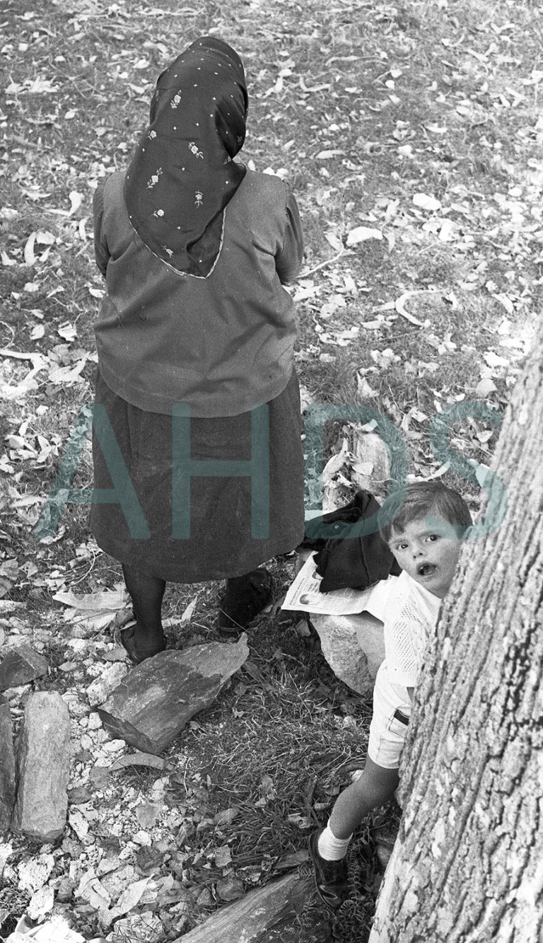 San Miguel de Breamo