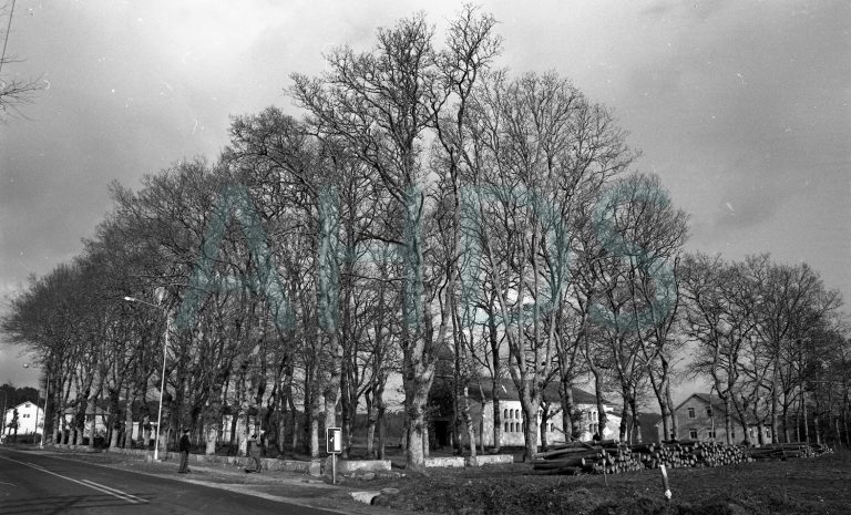 Santa María de Deixebre