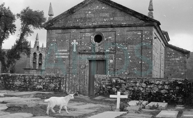 Santo Estevo de Abelleira